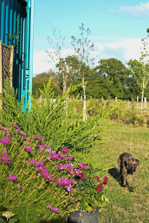 Bluebell Cabin Badsey Esterno foto