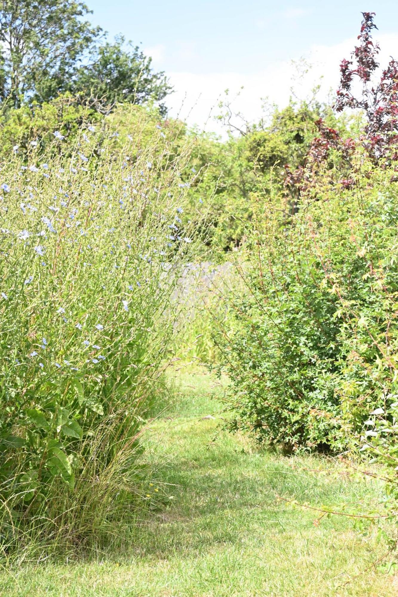 Bluebell Cabin Badsey Esterno foto