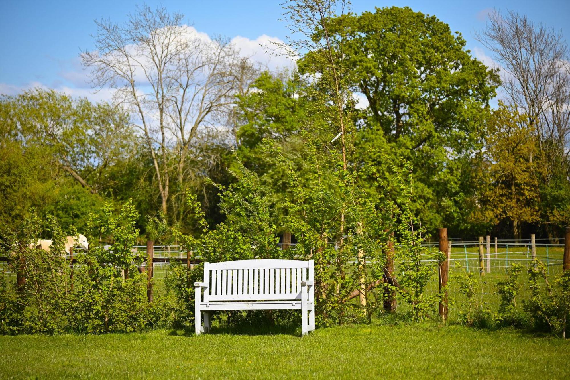 Bluebell Cabin Badsey Esterno foto